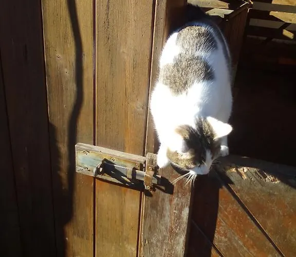 Πανσιόν Haus Jost Ingrid Hermagor-Pressegger See